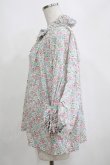 画像2: Jane Marple Dans Le Salon / Lawn Liberty Bubble Sleeve Blouse  オフ×ピンク×ブルー H-25-04-04-065-JM-BL-KB-ZH (2)