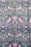 画像4: Jane Marple Dans Le Salon / strawberry Thiefチュニックワンピース M ブルー H-25-04-04-008-JM-OP-KB-ZH (4)