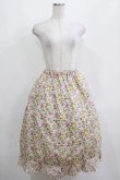 画像4: Jane Marple Dans Le Salon / Gouache Garden Crinoline Skirt  アイボリー H-25-04-04-020-JM-SK-KB-ZH (4)