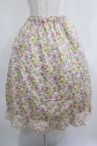 画像1: Jane Marple Dans Le Salon / Gouache Garden Crinoline Skirt  アイボリー H-25-04-04-020-JM-SK-KB-ZH (1)