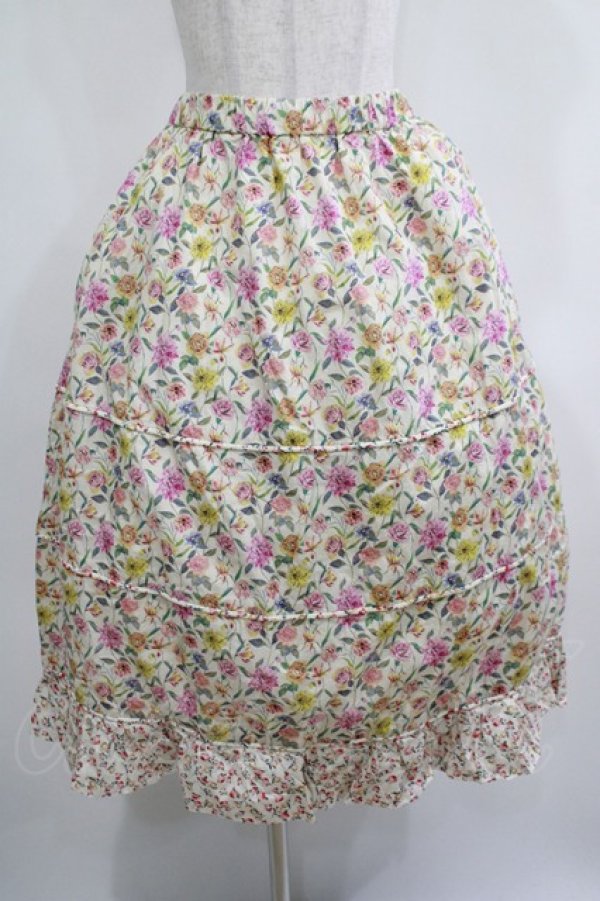 画像1: Jane Marple Dans Le Salon / Gouache Garden Crinoline Skirt  アイボリー H-25-04-04-020-JM-SK-KB-ZH (1)