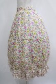 画像2: Jane Marple Dans Le Salon / Gouache Garden Crinoline Skirt  アイボリー H-25-04-04-020-JM-SK-KB-ZH (2)