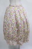 画像3: Jane Marple Dans Le Salon / Gouache Garden Crinoline Skirt  アイボリー H-25-04-04-020-JM-SK-KB-ZH (3)