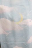 画像4: Angelic Pretty / Misty Skyワンピース Free サックス H-25-04-05-015-AP-OP-NS-ZH (4)