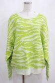 画像1: Candy Stripper / CND ZEBRA KNIT  グリーン H-25-04-07-1045-PU-TO-KB-ZH (1)