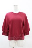 画像1: Jane Marple Dans Le Salon / Half puffy sleeve sweatshirt  ワイン H-25-04-07-033-JM-TO-KB-ZH (1)