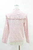 画像2: Jane Marple Dans Le Salon / D’anjo coast cape blouse  ピンク H-25-04-07-034-JM-BL-KB-ZH (2)