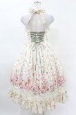 画像2: Victorian maiden / ローズガーデンロングドレス Free afternoon rose H-25-04-09-043-CL-OP-NS-ZH (2)