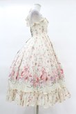 画像3: Victorian maiden / ローズガーデンロングドレス Free afternoon rose H-25-04-09-043-CL-OP-NS-ZH (3)
