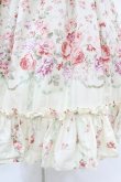 画像5: Victorian maiden / ローズガーデンロングドレス Free afternoon rose H-25-04-09-043-CL-OP-NS-ZH (5)
