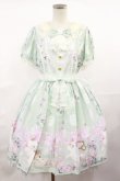 画像1: Angelic Pretty / Romantic Catワンピース Free ミント H-25-04-09-1011-AP-OP-NS-ZH (1)