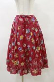 画像1: Jane Marple / Flower marketのダブルスカート  ローズ H-25-04-11-1047-JM-SK-KB-ZH (1)