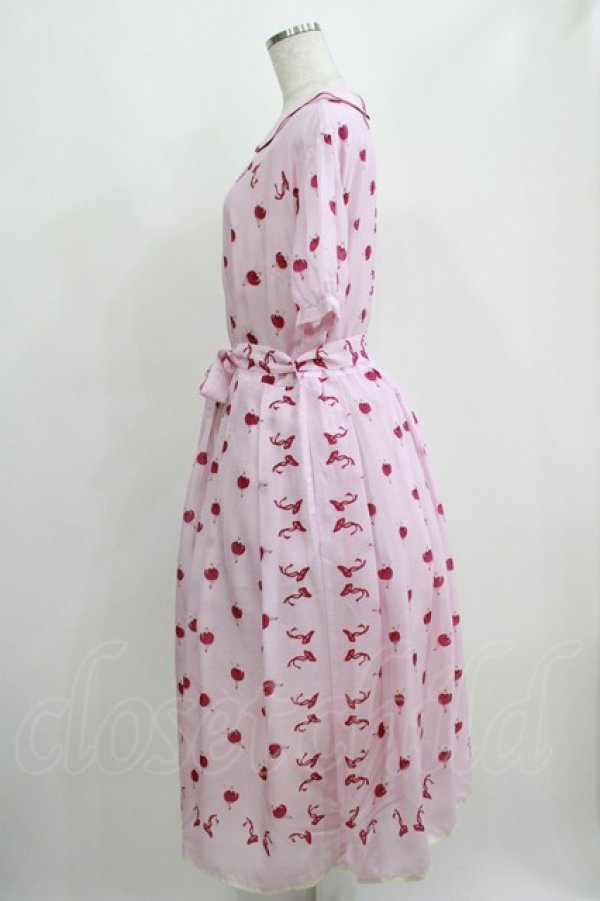 画像2: Jane Marple / Pas de bourree Dayドレス  ピンク H-25-04-12-004-JM-OP-KB-ZH (2)