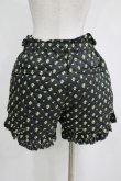 画像3: Candy Stripper / TINY ROSE QUILTING SHORTS 2 ブラック H-25-04-12-051-PU-PA-KB-ZH (3)