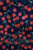 画像4: Jane Marple Dans Le Salon / Falling cherriesパフィーブラウス  navy H-25-04-12-063-JM-BL-KB-ZH (4)