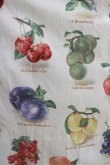 画像4: Jane Marple / Fruits dictionaryのドレス  アイボリー H-25-04-12-018-JM-OP-KB-ZH (4)