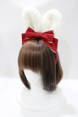 画像4: Angelic Pretty / Lovely BunnyジャンパースカートSET Free ワイン H-25-04-14-1001-AP-OP-NS-ZH (4)