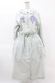 画像1: Jane Marple Dans Le Salon / Jardin Des Fleurs Embroideryドレス  ミント H-25-04-15-019-JM-OP-KB-ZH (1)