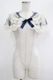 画像1: metamorphose / アンティークブーケケープ Free クラシックブル‐ H-25-04-17-1034-ME-JA-NS-ZH (1)