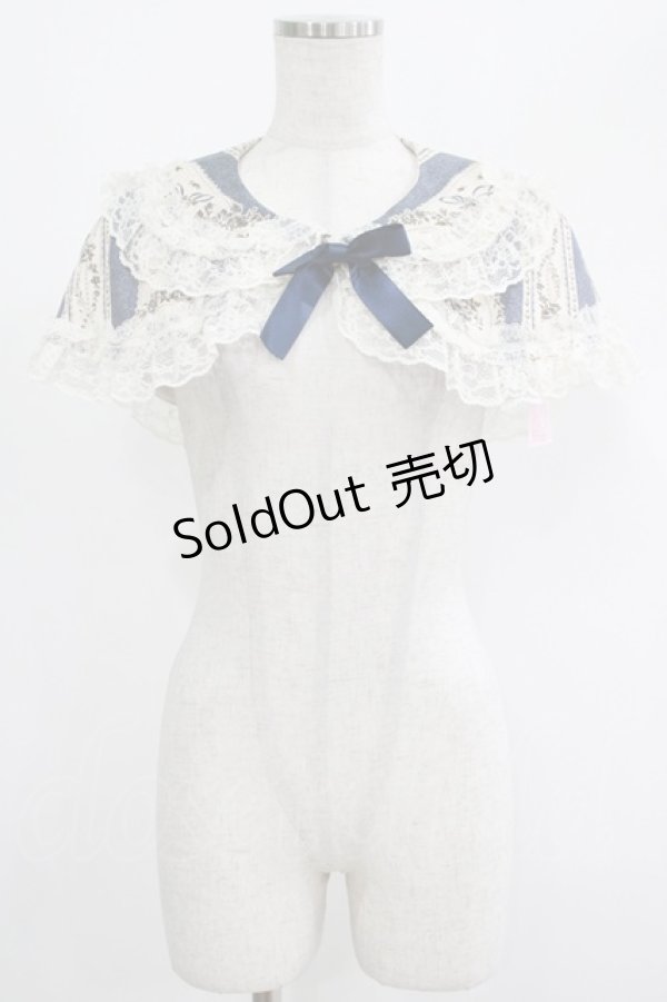画像1: metamorphose / アンティークブーケケープ Free クラシックブル‐ H-25-04-17-1034-ME-JA-NS-ZH (1)