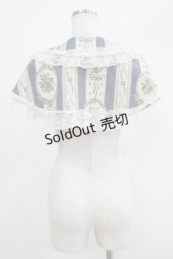 画像2: metamorphose / アンティークブーケケープ Free クラシックブル‐ H-25-04-17-1034-ME-JA-NS-ZH (2)