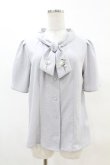 画像1: an another angelus / ローズ刺繍ボウタイブラウス Free BLUEGRAY H-25-04-21-052-CA-BL-NS-ZH (1)