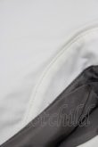 画像4: Jane Marple / Ribbon stripe jacquardのパブリックドレス  グレー H-25-04-21-1005-JM-OP-KB-ZH (4)