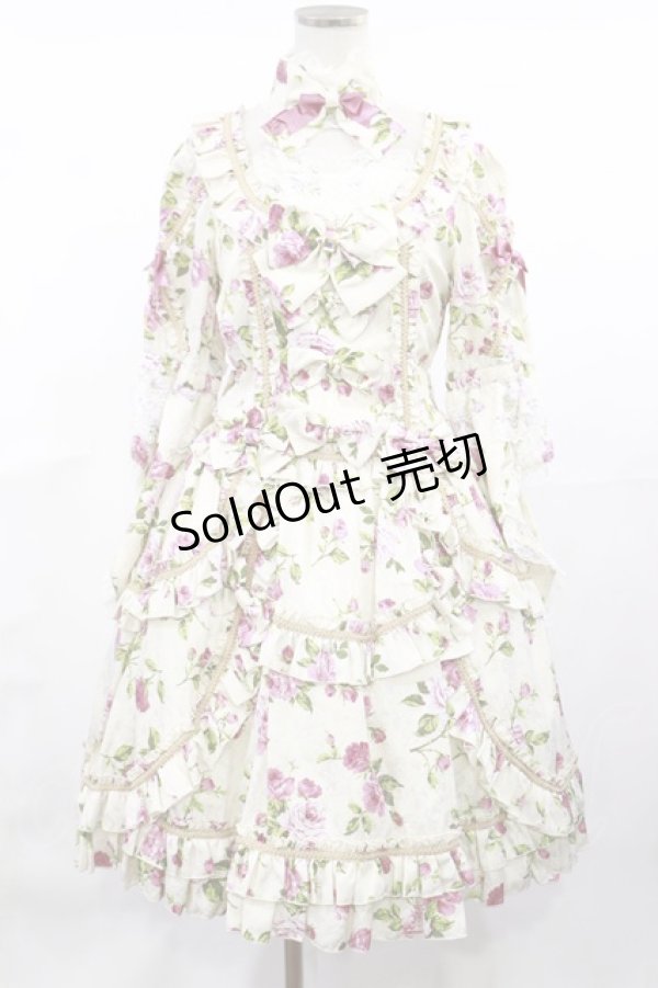 画像1: metamorphose / Eternal Queen ワンピース(バラ柄サテンジャガード) Free オフ H-25-04-22-1006-ME-OP-NS-ZH (1)