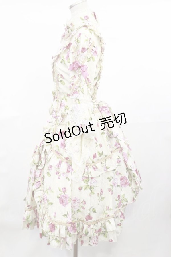 画像2: metamorphose / Eternal Queen ワンピース(バラ柄サテンジャガード) Free オフ H-25-04-22-1006-ME-OP-NS-ZH (2)