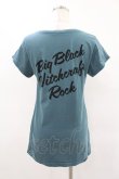 画像2: HYSTERIC GLAMOUR / フォトプリントTシャツ  グリーン H-25-04-22-017-PU-TO-KB-ZH (2)
