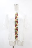 画像1: Fi.n.t / フロントヴィンテージフルーツ刺繍ブラウス Free OFF WHITE H-25-04-24-1038-CA-BL-NS-ZH (1)