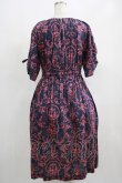 画像3: Jane Marple Dans Le Salon / Marie Antoinette drawstring sleeve dress Free ネイビー H-25-04-24-063-JM-OP-KB-ZT037 (3)