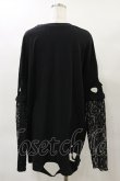 画像2: Ank Rouge / レース袖付きBig Te M ブラック H-25-04-26-038-CA-TS-NS-ZH (2)