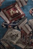 画像4: Jane Marple / フェアリーテイルBOOKビスチェドレス  ブルーグレイ×ネイビー H-25-04-27-004-JM-OP-KB-ZH (4)