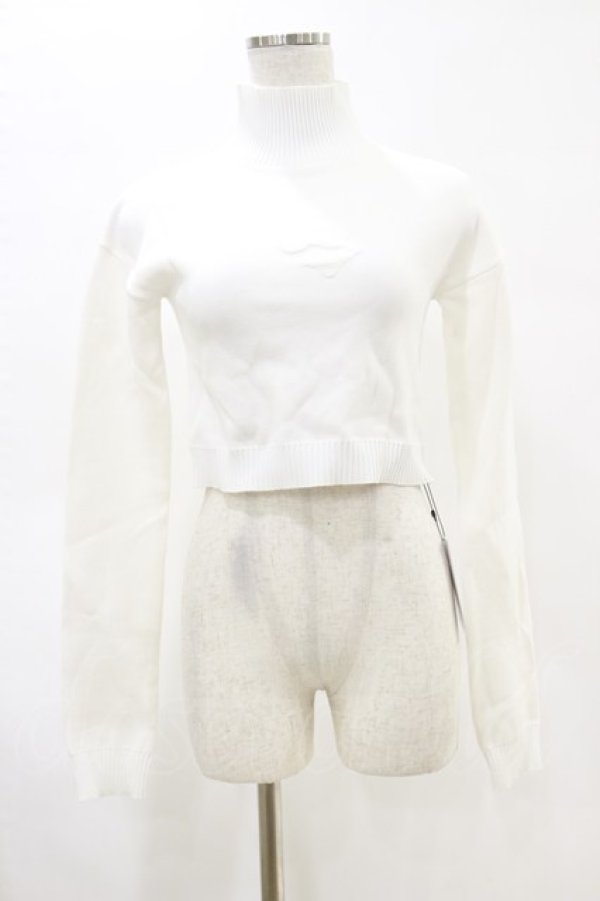 画像1: Melt the lady / ハイネックニット Free オフ H-25-05-05-026-PU-TO-NS-ZH (1)