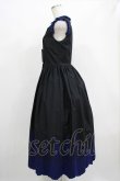 画像2: Moi-meme-Moitie / Rose Garden刺繍サンドレス 9号 黒×青 H-25-05-06-001-MO-OP-KB-ZH (2)