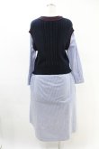 画像2: Jane Marple Dans Le Salon / Tilden vest and stripe trompe-l'oeil dress  ネイビー×ブルー H-25-05-07-1018-JM-OP-KB-ZH (2)