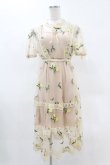 画像1: Swankiss / レモン刺繍チュールワンピース Free ベージュ H-25-05-08-039-CA-OP-NS-ZH (1)