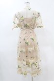 画像2: Swankiss / レモン刺繍チュールワンピース Free ベージュ H-25-05-08-039-CA-OP-NS-ZH (2)