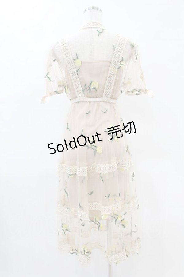 画像2: Swankiss / レモン刺繍チュールワンピース Free ベージュ H-25-05-08-039-CA-OP-NS-ZH (2)