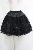 画像1: BPN / 刺繍チュールスカート  黒 H-25-05-08-1031-GO-SK-KB-ZH (1)