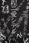 画像4: Grrr the Lipper / 殺メタイ程ニ愛シテル。iシャツ  黒 H-25-05-14-028-PU-BL-KB-ZH (4)