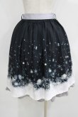 画像3: axes femme POETIQUE / アイスクリスタルミドルスカート M ブラック H-25-05-16-1027-AX-SK-NS-ZH (3)