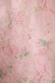 画像4: Swankiss / TS Lacy Fleur O/P Free ピンク H-25-05-16-1042-CA-OP-NS-ZH (4)