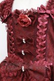 画像4: metamorphose / 【プラスサイズ】永遠の花嫁ドレス プラスサイズ えんじ H-25-05-16-1001-ME-OP-NS-ZH (4)
