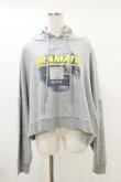 画像1: Candy Stripper / DRAMATIC HOODIE 2 グレー H-25-05-18-042-PU-TO-KB-ZH (1)
