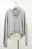 画像2: Candy Stripper / DRAMATIC HOODIE 2 グレー H-25-05-18-042-PU-TO-KB-ZH (2)