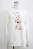 画像1: Candy Stripper / DEFIANT BUNNY SWEAT  2 オフ H-25-05-19-070-PU-TO-KB-ZH (1)
