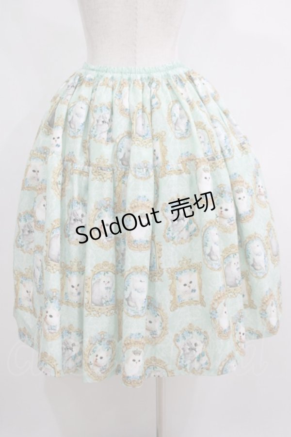 画像3: Enchantlic Enchantilly / 猫の女王の肖像画スカート Free ミント H-25-05-20-016-LO-SK-NS-ZH (3)