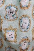 画像4: Enchantlic Enchantilly / 猫の女王の肖像画スカート Free ミント H-25-05-20-016-LO-SK-NS-ZH (4)